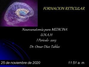 FORMACION RETICULAR Neuroanatoma para MEDICINA U N A