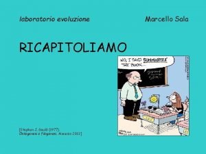 laboratorio evoluzione RICAPITOLIAMO Stephen J Gould 1977 Ontegenesi