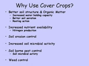 Why Use Cover Crops Better soil structure Organic