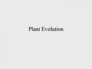 Plant Evolution Adaptations Cuticle alternation of generations specialized
