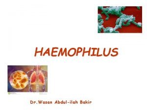 HAEMOPHILUS Dr Wasan Abdulilah Bakir HAEMOPHILUS Haemophilus influenzae