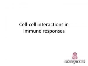 Cellcell interactions in immune responses Teaching objectives To