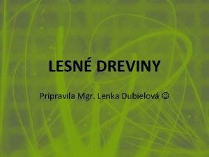 LESN DREVINY Pripravila Mgr Lenka Dubielov Dreviny s