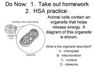 Do Now 1 Take out homework 2 HSA