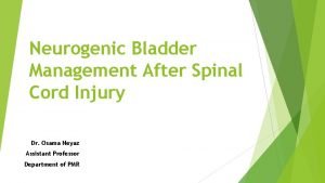 Neurogenic Bladder Management After Spinal Cord Injury Dr