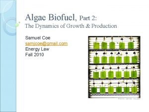 Algae Biofuel Part 2 The Dynamics of Growth