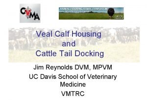 Veal Calf Housing Managing Transition Dairy and Cows