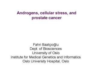 Androgens cellular stress and prostate cancer Fahri Saatolu