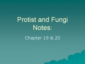 Protist and Fungi Notes Chapter 19 20 6