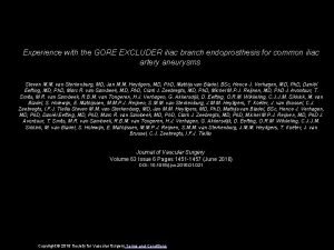 Experience with the GORE EXCLUDER iliac branch endoprosthesis