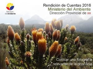 Rendicin de Cuentas 2016 Ministerio del Ambiente Direccin