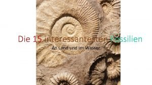 Die 15 interessantesten Fossilien An Land und im