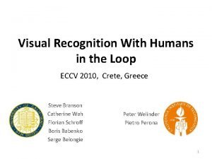 Visual recognition with human in the loop