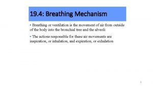 19 4 Breathing Mechanism Breathing or ventilation is