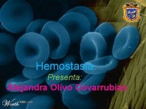 Hemostasia Presenta Alejandra Olivo Covarrubias Hemostasia Primaria Secundaria