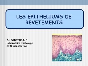LES EPITHELIUMS DE REVETEMENTS Dr BOUTEBBAF Laboratoire Histologie