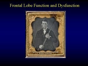Dorsolateral prefrontal cortex function