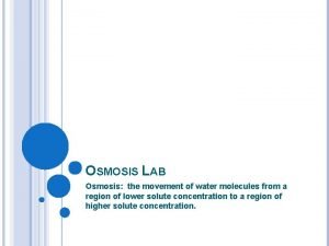 OSMOSIS LAB Osmosis the movement of water molecules