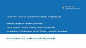 Direccin de Produccin y Consumo Sustentable Direccin Nacional