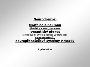 Neurochemie Morfologie neuronu dendrity a axon synapse synaptick