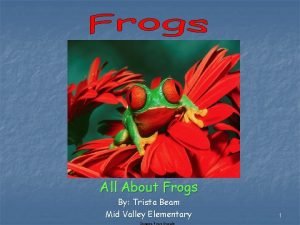 All About Frogs By Trista Beam Mid Valley