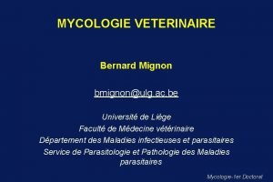 Bernard mignon veterinaire