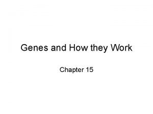 Genes and How they Work Chapter 15 The