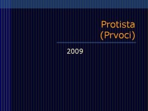 Protista Prvoci 2009 Potky eukaryot n prvn znm