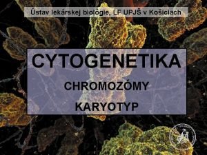 stav lekrskej biolgie LF UPJ v Koiciach CYTOGENETIKA