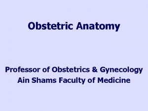 Obstetric Anatomy Professor of Obstetrics Gynecology Ain Shams