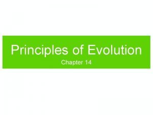 Principles of Evolution Chapter 14 What is Evolution