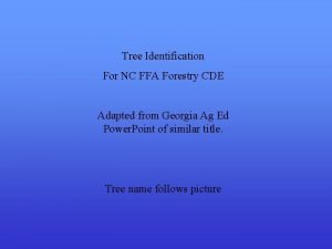 Tree Identification For NC FFA Forestry CDE Adapted