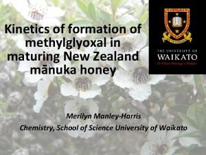 Kinetics of formation of methylglyoxal in maturing New