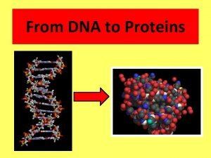 Impotance of protein