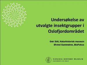 Underskelse av utvalgte insektgrupper i Oslofjordomrdet Geir Sli
