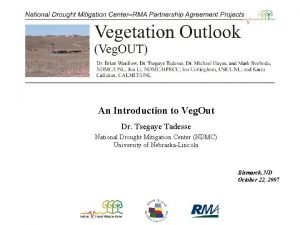 An Introduction to Veg Out Dr Tsegaye Tadesse