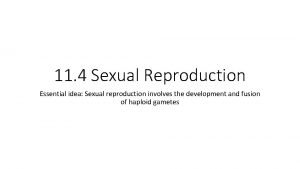 11 4 Sexual Reproduction Essential idea Sexual reproduction