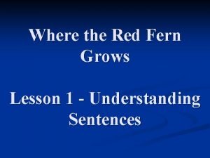 Where the Red Fern Grows Lesson 1 Understanding