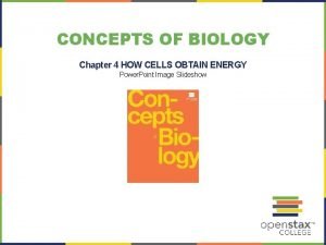 CONCEPTS OF BIOLOGY Chapter 4 HOW CELLS OBTAIN