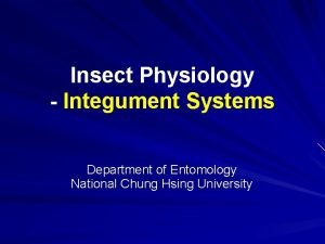 Insect Physiology Integument Systems Department of Entomology National