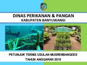 DINAS PERIKANAN PANGAN KABUPATEN BANYUWANGI PETUNJUK TEKNIS USULAN