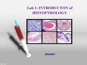 Lab 1 INTRODUCTON of HISTOPTHOLOGY INTRODUCTON Histopathology is