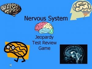 Jeopardy nervous system