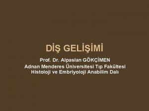 D GELM Prof Dr Alpaslan GKMEN Adnan Menderes