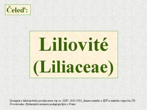 ele Liliovit Liliaceae Dostupn z Metodickho portlu www