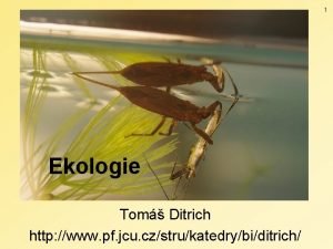 1 Ekologie Tom Ditrich http www pf jcu