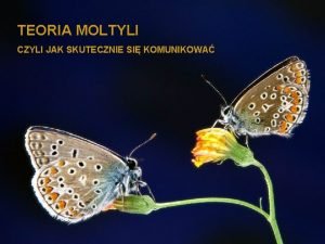 TEORIA MOLTYLI CZYLI JAK SKUTECZNIE SI KOMUNIKOWA PO