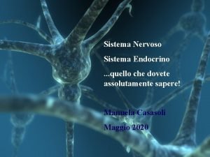 Sistema Nervoso Sistema Endocrino quello che dovete assolutamente