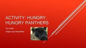 Hungry hungry panther