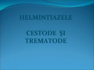 HELMINTIAZELE CESTODE I TREMATODE Viermii adulii paraziteaz n